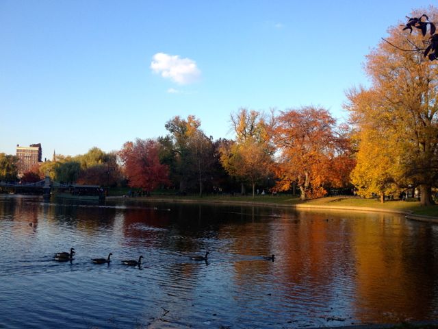 Boston Public Garden