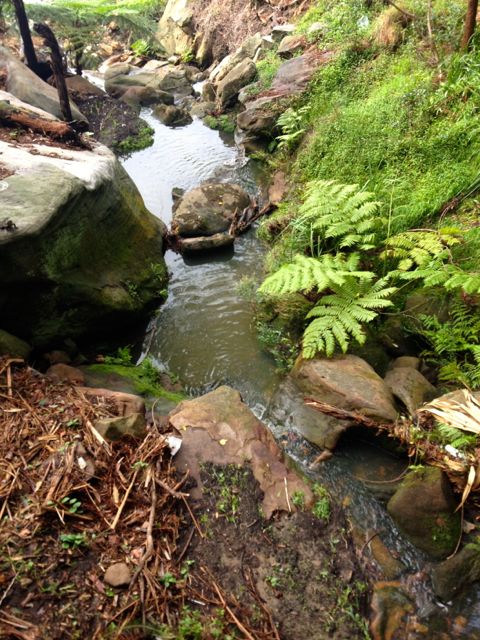 And this is normally dry. So I think it's safe to say we had a fair bit of rain.