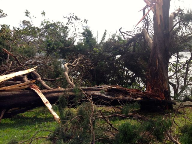 Just like match sticks.