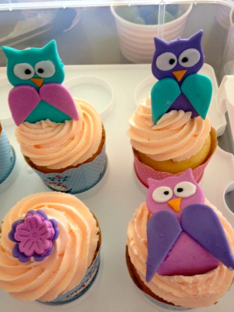 Some of our cupcakes with handmade fondant owls and flowers. 
