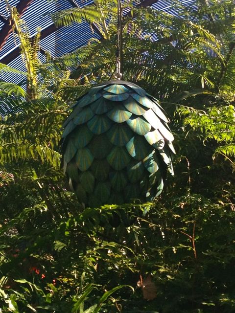 The Breathing Conifer