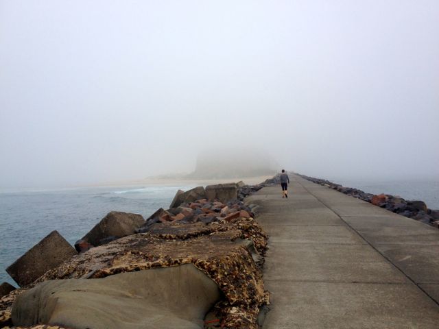Road to nowhere. (Not really, it leads back to the carpark, but felt very spooky this morning.)