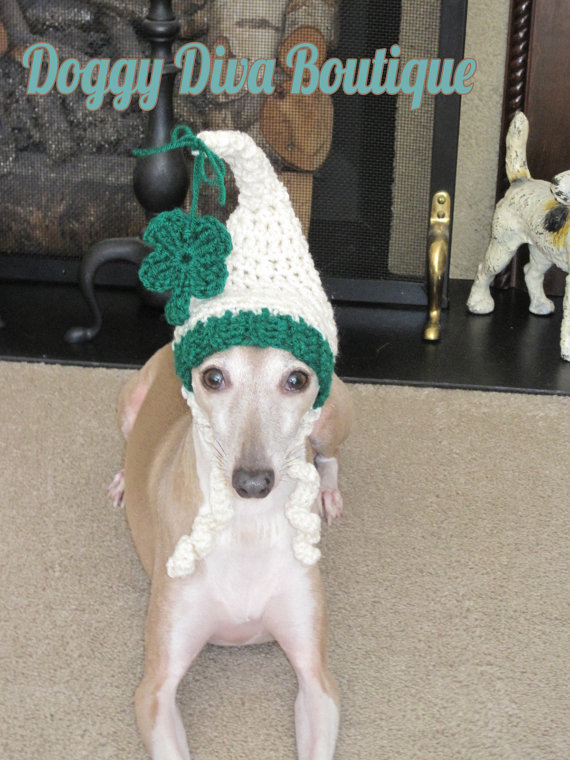 Not sure this dog is feeling the luck of the Irish. [image from Doggy Diva Boutique]