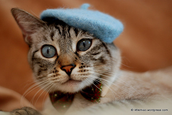 catberet