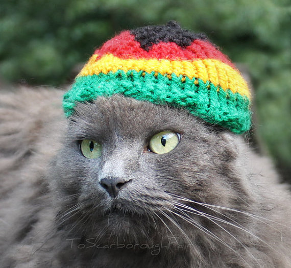 catrasta